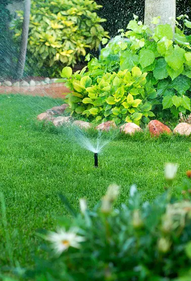 Fling-Irrigation-Inc-sprinkler-system-in-yard