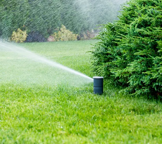 Fling-Irrigation-Inc-sprinkler-system-lush-green-lawn