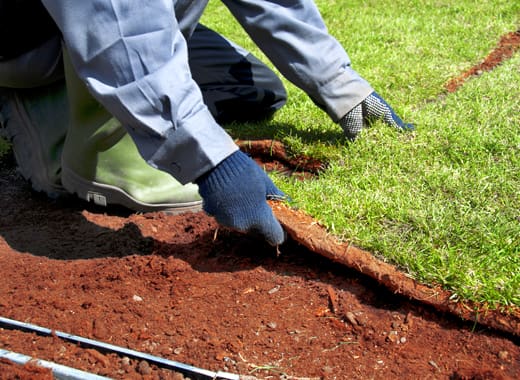 Fling-Irrigation-Inc-laying-down-sod